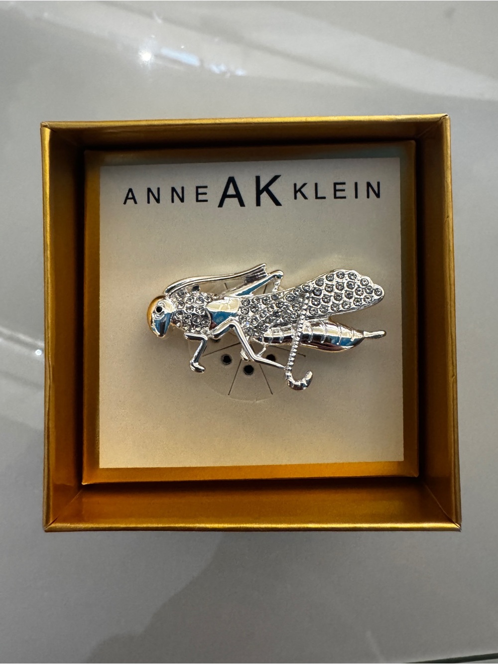 Anne Klein branded box